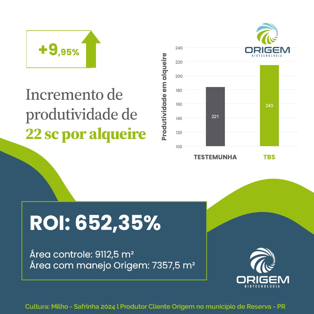 4- Posts_Outubro_5 4- Posts_Outubro_5