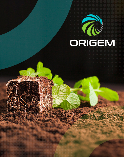 imagem-lp-webnar imagem-lp-webnar